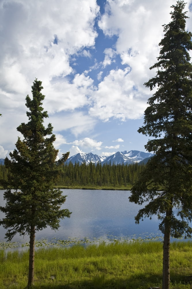 Scenic View Of A Lake In Denali National Park With The Alaska Range In The Background During Summer Canvas Art - Jeff Schultz Design Pics (11 x 17)