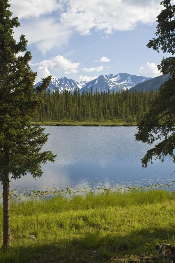 Scenic View Of A Lake In Denali National Park With The Alaska Range In The Background During Summer Canvas Art - Jeff Schultz Design Pics (22 x 34)