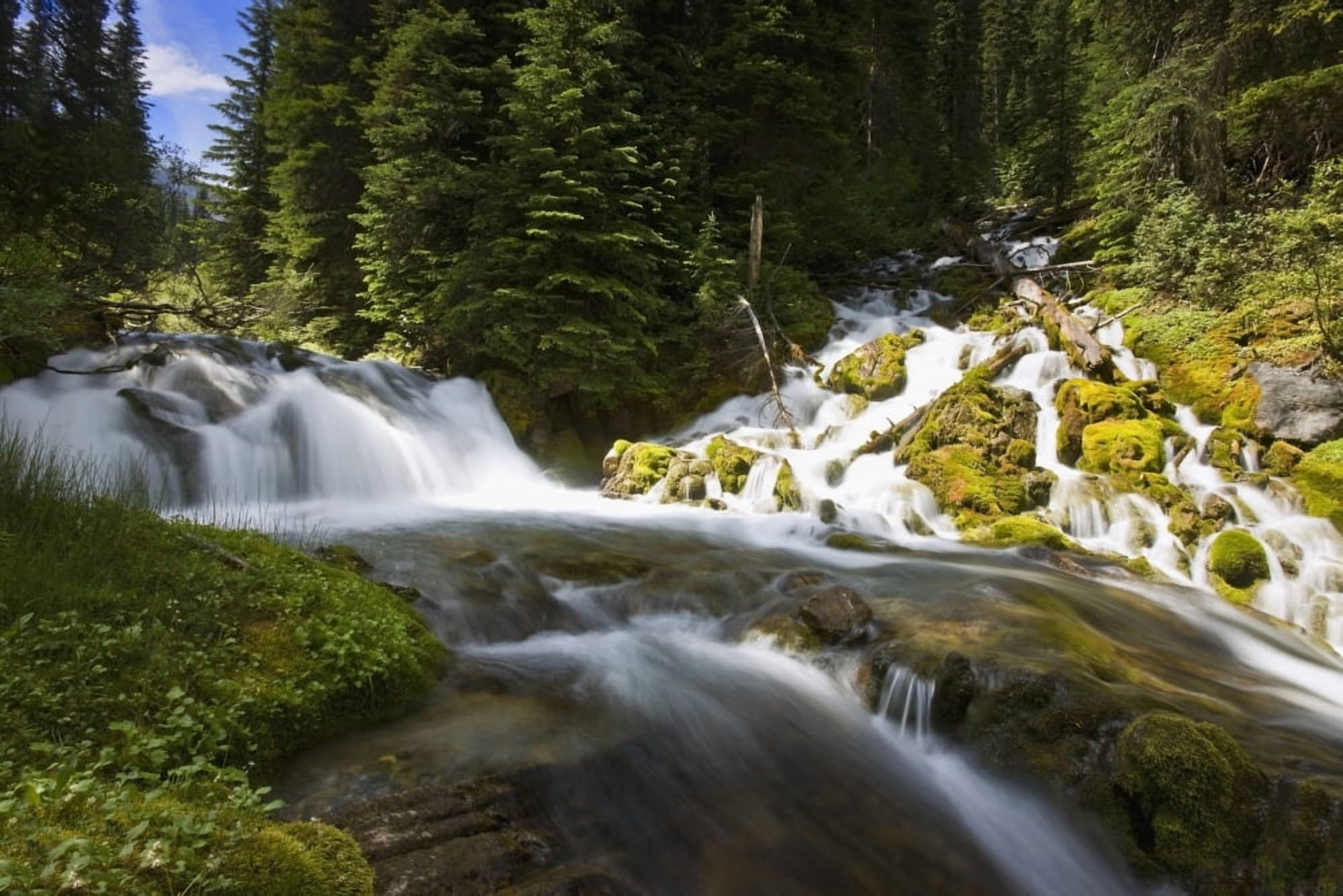 Scenic View Of A Stream Canvas Art - Carson Ganci Design Pics (19 x 12)