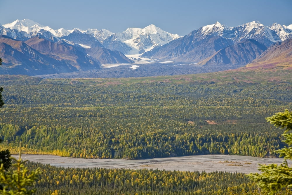 Scenic View Of Alaska Range And Eldridge Glacier Autumn Southcentral Alaska Canvas Art - Jeff Schultz Design Pics (17 x 11)