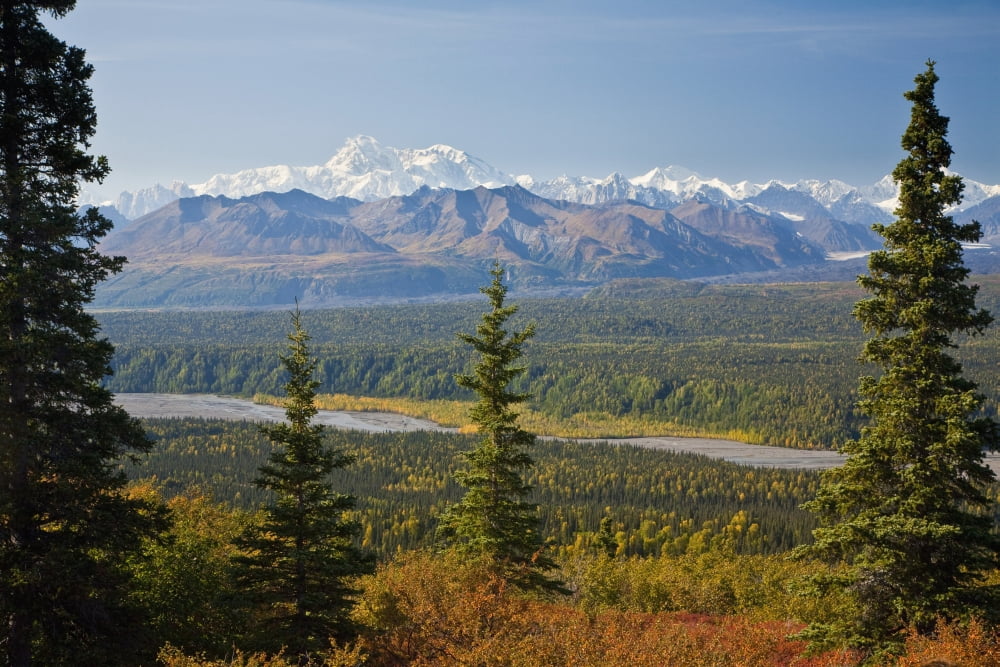 Scenic View Of Alaska Range And Eldridge Glacier Autumn Southcentral Alaska Canvas Art - Jeff Schultz Design Pics (38 x 24)
