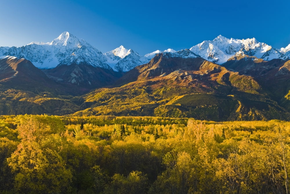 Scenic View Of Chugach Mountains Along Matanuska Valley In Southcentral Alaska During Fall Canvas Art - Michael DeYoung Design Pics (19 x 12)