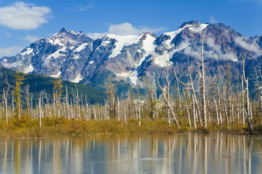 Scenic View Of Chugach Mountains Along The Copper River Delta In Southcentral Alaska During Fall Canvas Art - Michael DeYoung Design Pics (38 x 24)