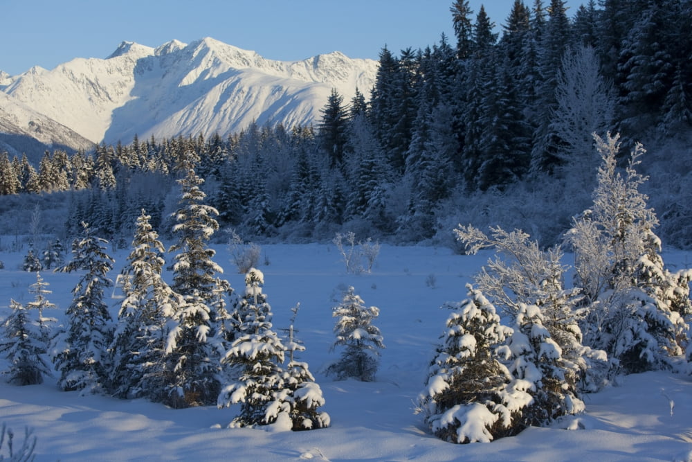 Scenic View Of Chugach Mountains And Snowcovered Landscape Southcentral Alaska Winter Canvas Art - Doug Lindstrand Design Pics (18 x 12)