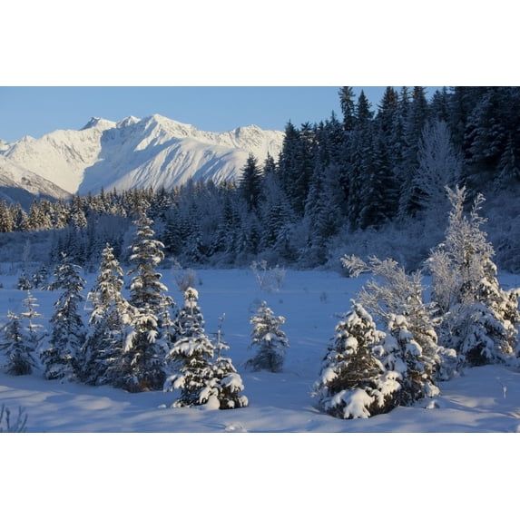 Scenic View Of Chugach Mountains And Snowcovered Landscape Southcentral Alaska Winter Poster Print