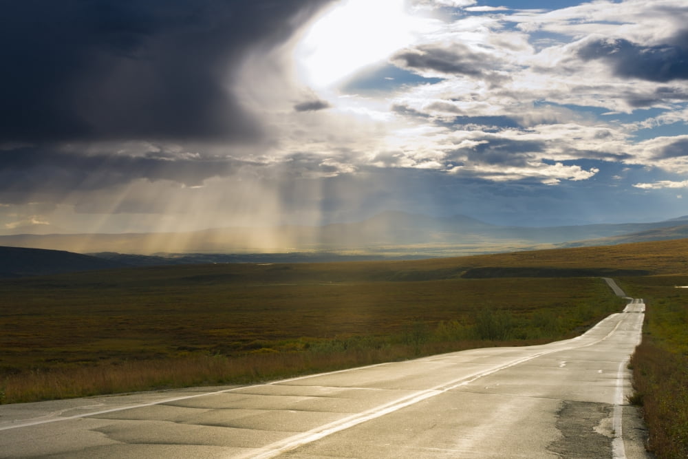 Scenic View Of Denali Highway After A Passing Morning Storm Near Paxon Southcentral Alaska Summer Canvas Art - Michael DeYoung Design Pics (17 x 11)