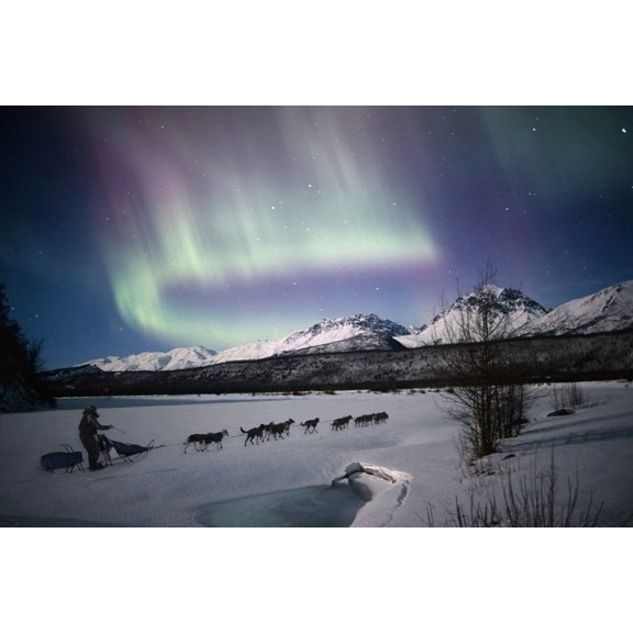 Scenic View Of Dog Team Mushing On The Matanuska River With Northern Lights Overhead Matanuska Susitna Valley Southcen 1