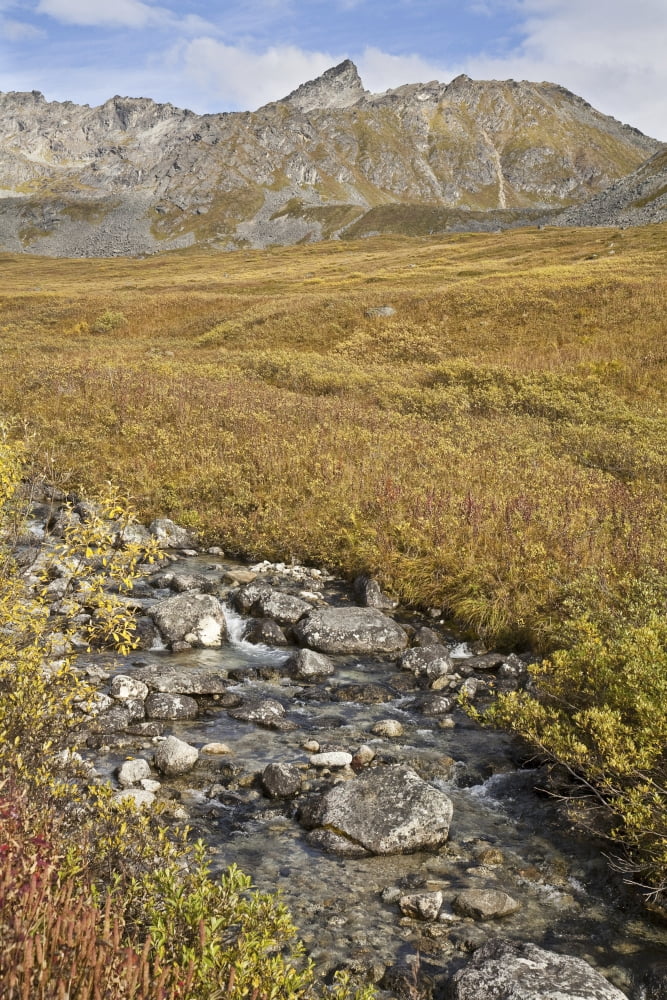 Scenic View Of Hatcher Pass Near Independence Mine State Historical Park Southcentral Alaska FallN Canvas Art - Jeff Schultz Design Pics (22 x 34)