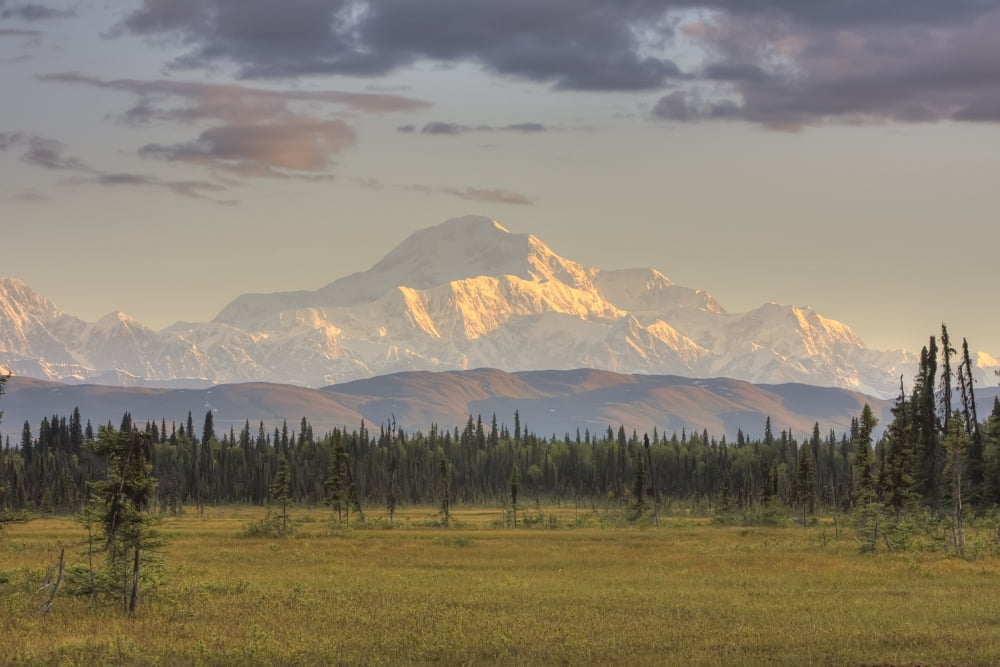Scenic View Of Mount Mckinley Alaska Hdr Image Canvas Art - Michael Criss Design Pics (17 x 11)