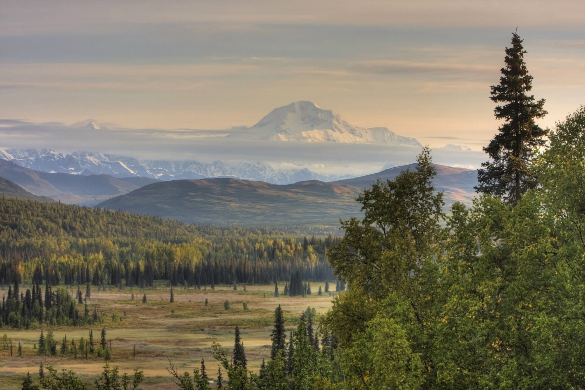 Scenic View Of Mt Mckinley Just South Of Denali National ParkSouthcentral Alaska Hdr Canvas Art - Michael Criss Design Pics (17 x 11)