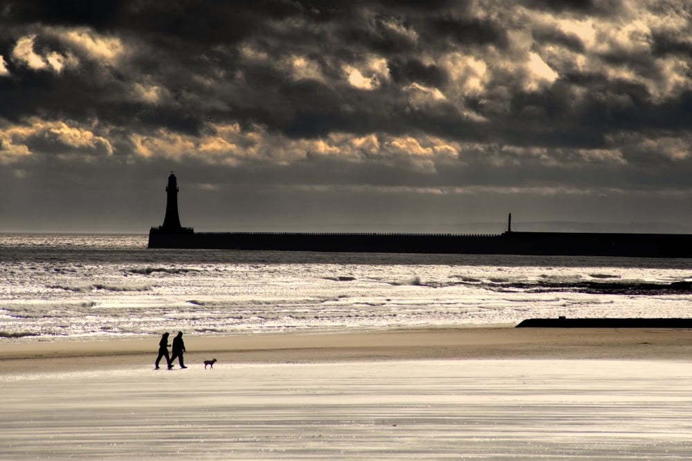 Scenic View Of Sandy Beach With Lighthouse And Groyne Sunderland Tyne And Wear England Uk Canvas Art - John Short Design Pics (17 x 11)