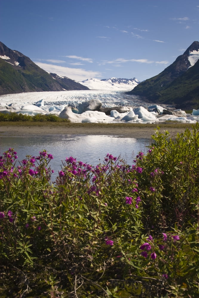 Scenic View Of Spencer Glacier In The Placer River Valley Of Southcentral Alaska During Summer Canvas Art - Jeff Schultz Design Pics (11 x 17)
