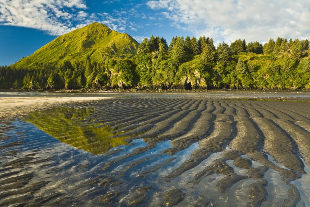 Scenic View Of Tidal Flats At Low Tide At The Mouth Of Monashka Creek On Kodiak Island Alaska Canvas Art - Michael DeYoung Design Pics (19 x 12)
