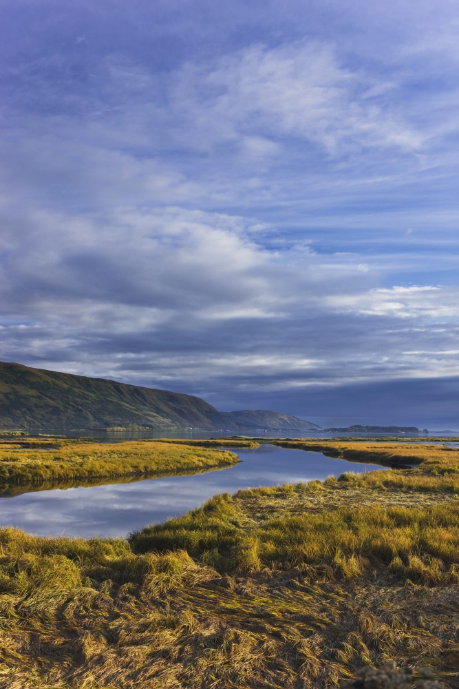 Scenic View Of Tidal Slough Along Womens Bay Kodiak Island Southwest Alaska Fall Canvas Art - Kevin Smith Design Pics (24 x 38)