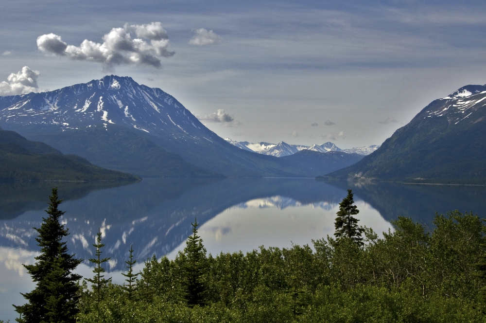 Scenic View Of Tutshi Lake And White Mountain Pass In Britsh Columbia Canada Summer Canvas Art - Mark Newman Design Pics (17 x 11)