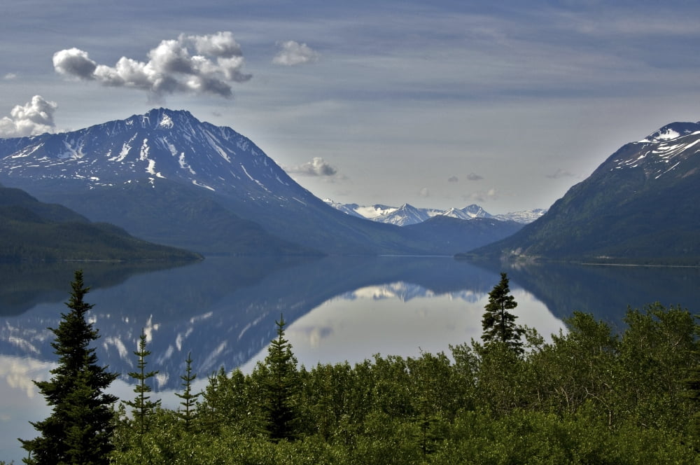 Scenic View Of Tutshi Lake And White Mountain Pass In Britsh Columbia Canada Summer Canvas Art - Mark Newman Design Pics (34 x 22)