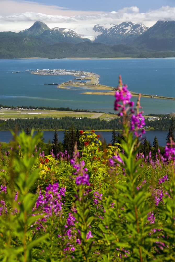 Scenic View Overlooking The Homer Spit Kachemak Bay And The Kenai Mountains Of Kachemak Bay State Park In Southcentral Alaska During Summer Canvas Art - Bill Scott Design Pics (24 x 36)