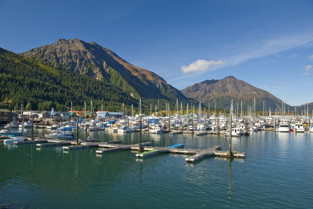Scenic View Of The Seward Small Boat Harbor On Resurrection Bay On A Sunny Day On The Kenai Peninsula In Southcentral Alaska Canvas Art - Bill Scott Design Pics (17 x 11)