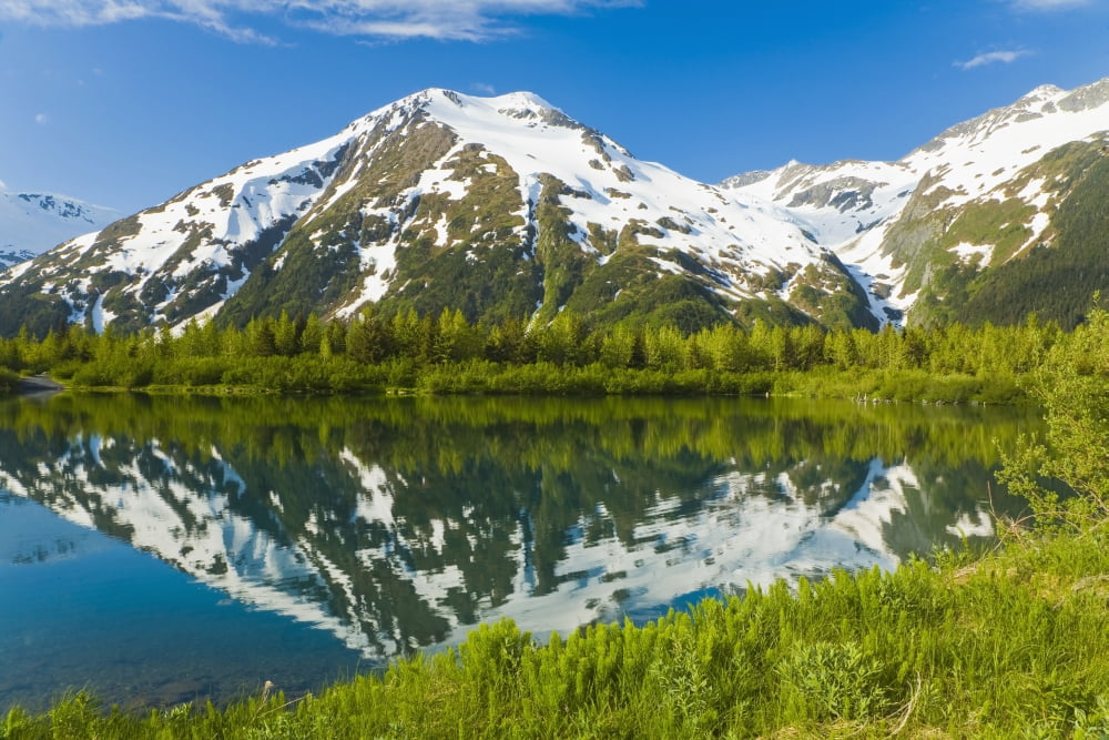 Scenic View Of A Small Lake And The Chugach Mountains Portage Valley Southcentral Alaska During Summer Canvas Art - Michael DeYoung Design Pics (19 x 12)