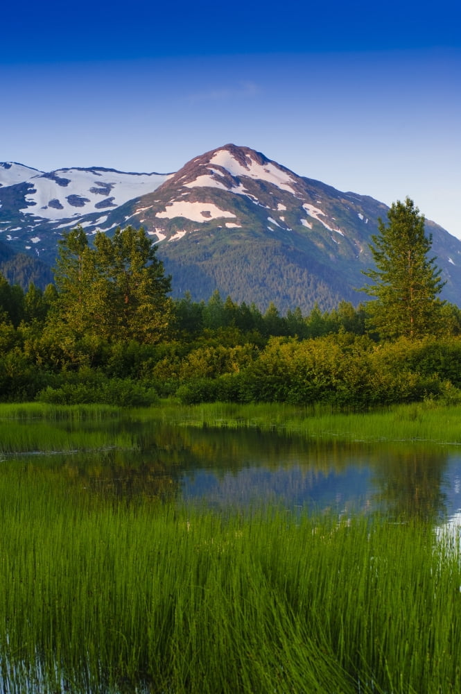 Scenic View Of A Small Stream In Portage Valley With Chugach Mountains In The Background Southcentral Alaska Summer Canvas Art - Michael Jones Design Pics (22 x 34)