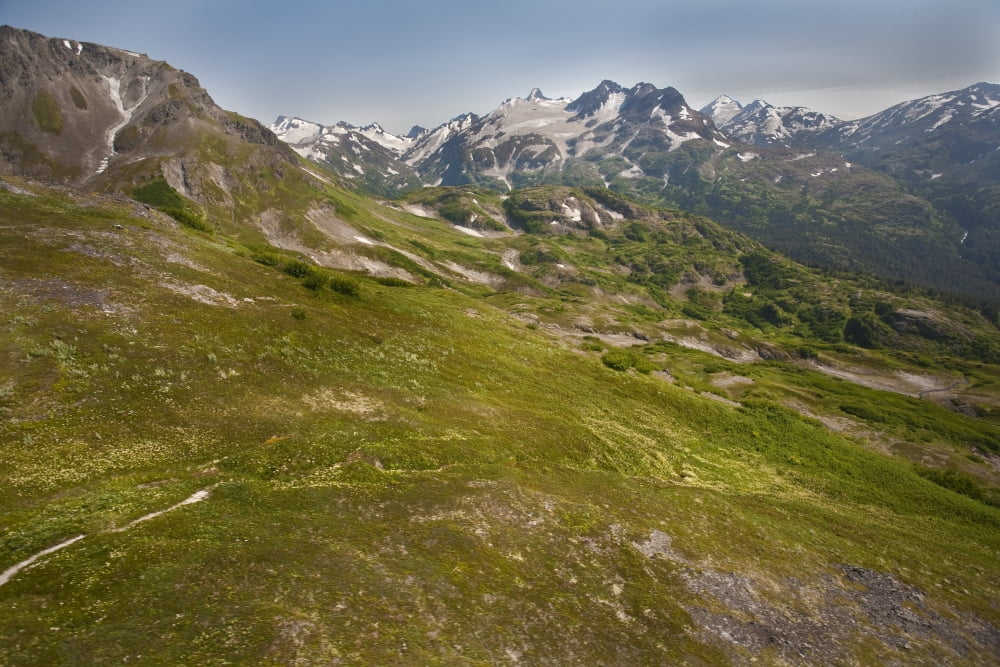 Scenic View Of Tundra And Kenai Mountains In Kachemak Bay State Park Near Homer Kenai Penninsula Alaska Summer Canvas Art - Jeff Schultz Design Pics (17 x 11)