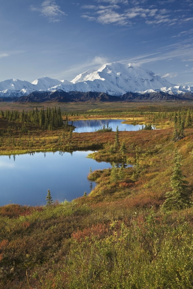 Scenic View Of Tundra Ponds And Fall Colors With Mt Mckinley In The Background Denali National Park Alaska Canvas Art - John Delapp Design Pics (24 x 38)