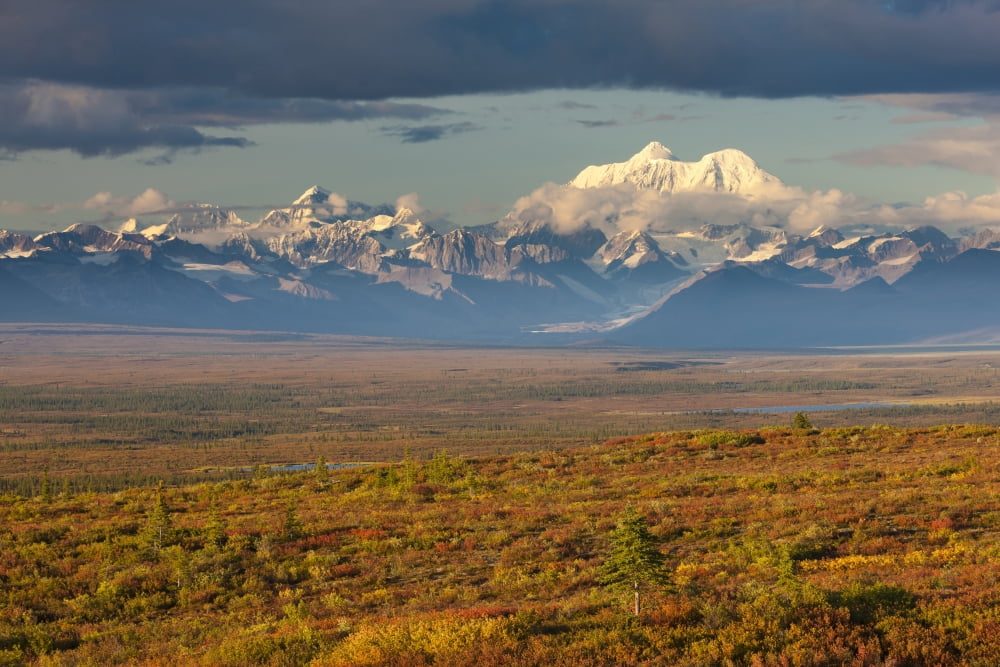 Scenic View Of Tundra And Taiga In Autumn Colors Below Mt Hayes And Alaska Range Along The Denali Highway Interior Alaska Autumn Canvas Art - Michael DeYoung Design Pics (18 x 12)