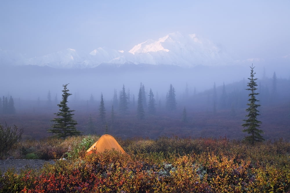 Scenic View Of Wonder Lake Campground With A Tent In The Foreground And Denail Partially Osbsured By Fog In The Background Denali National Park Alaska Canvas Art - John Delapp Design Pics (17 x 11)