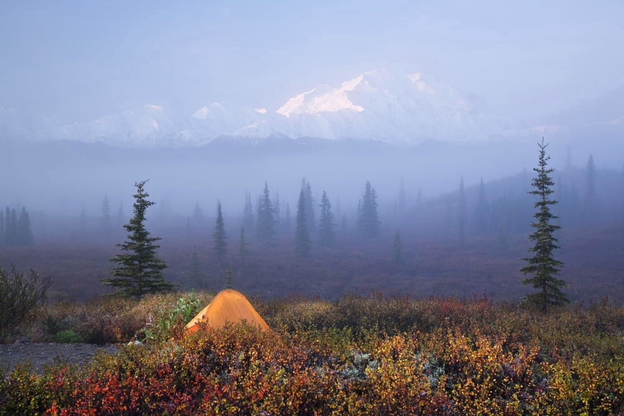 Scenic View Of Wonder Lake Campground With A Tent In The Foreground And Denail Partially Osbsured By Fog In The Background Denali National Park Alaska Canvas Art - John Delapp Design Pics (34 x 22)