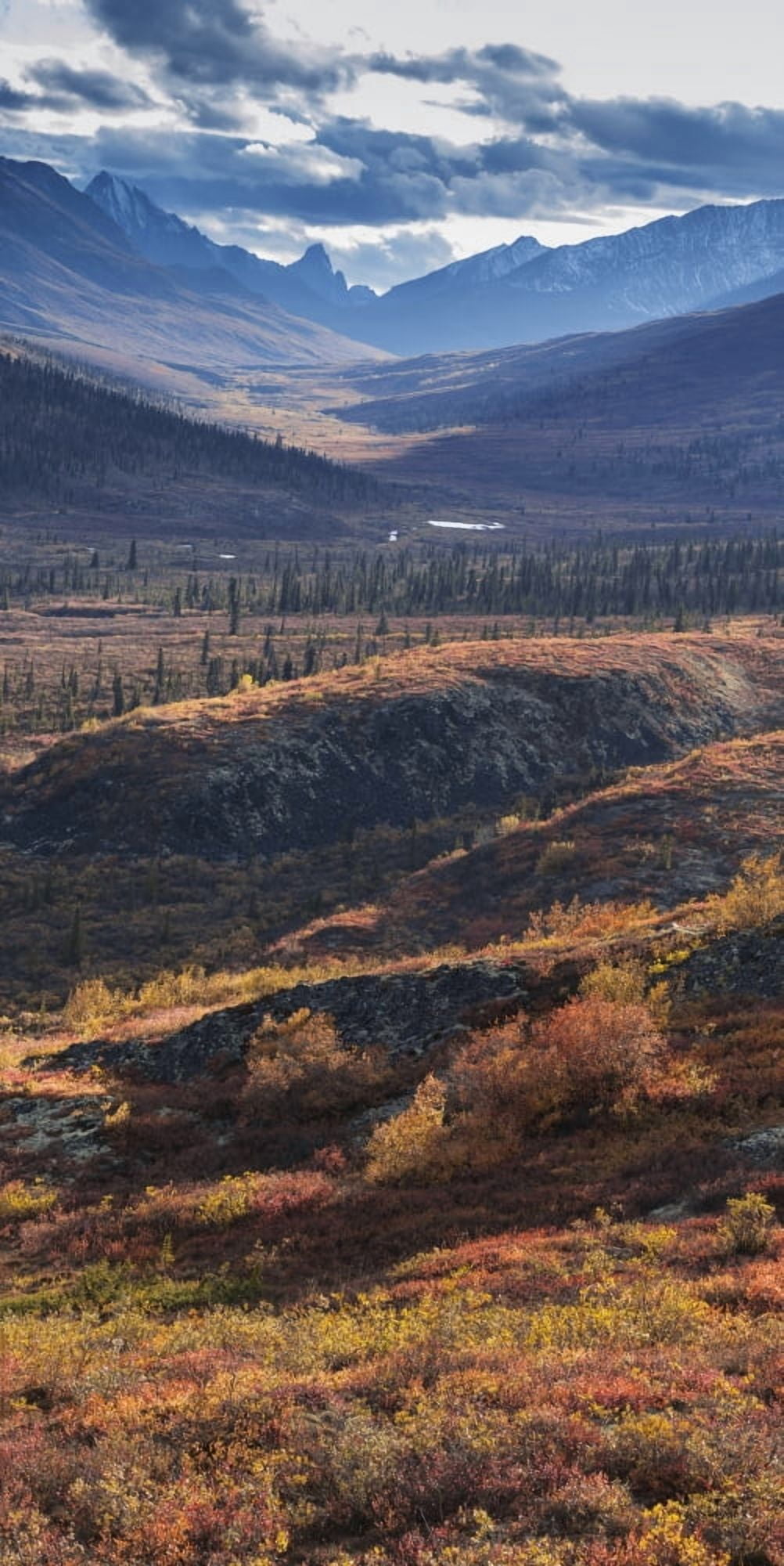 Scenic autumn view of mountains and colorful tundra in Tombstone Territorial Park Yukon Territory Canada Canvas Art - John Hyde Design Pics (10 x 21)