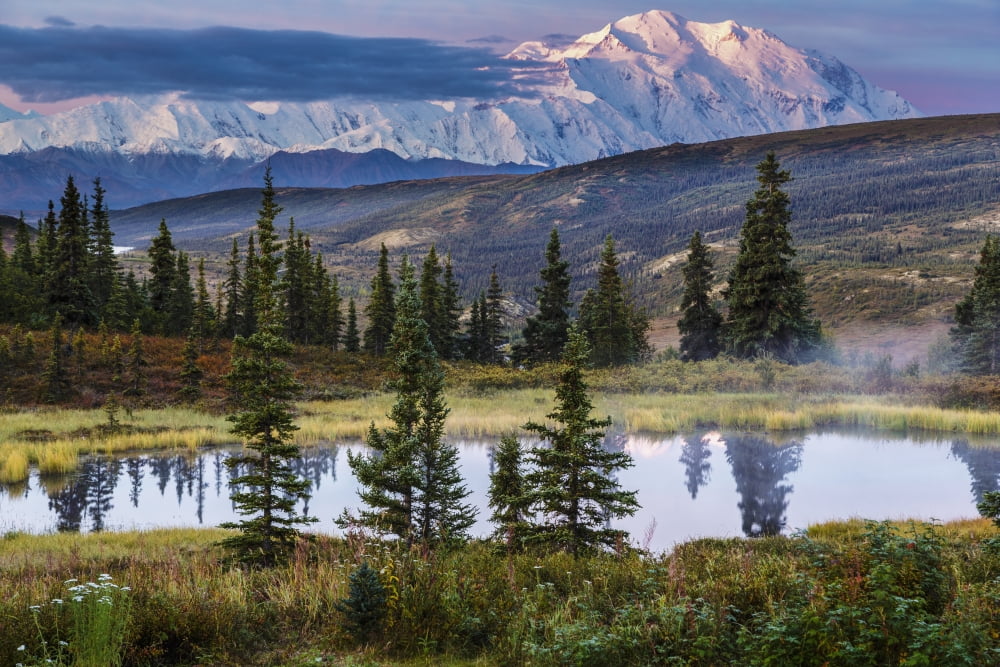 Scenic sunrise view of Denali with a tundra pond in the foreground Denali National Park Interior Alaska Autumn Canvas Art - Jeff Schultz Design Pics (38 x 24)