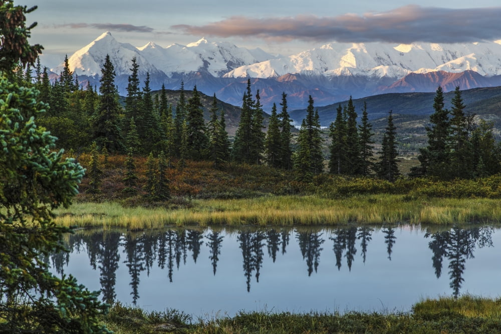 Scenic sunrise view over Mt Brooks and the Alaska Range with a tundra pond in the foreground Denali National Park Interior Alaska Autumn Canvas Art - Jeff Schultz Design Pics (19 x 12)
