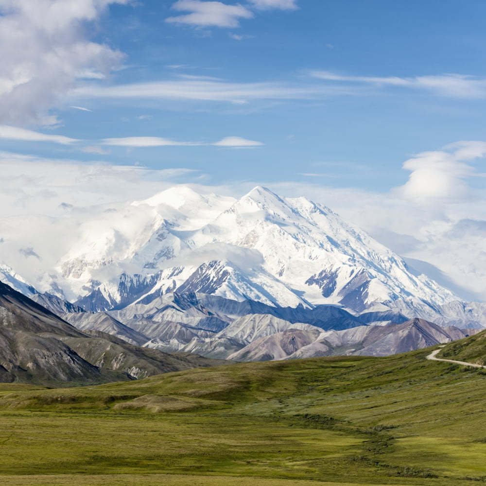 Scenic view of Denali and Thorofare Pass as seen from Stony Hill Denali National Park Interior Alaska Summer Canvas Art - Ray Bulson Design Pics (24 x 24)