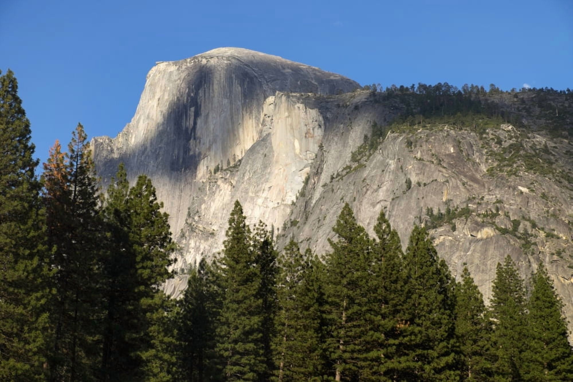 Scenic view of Half Dome from Yosemite Valley Yosemite National Park California United States of America Canvas Art - Gina Bringman Design Pics (38 x 24)