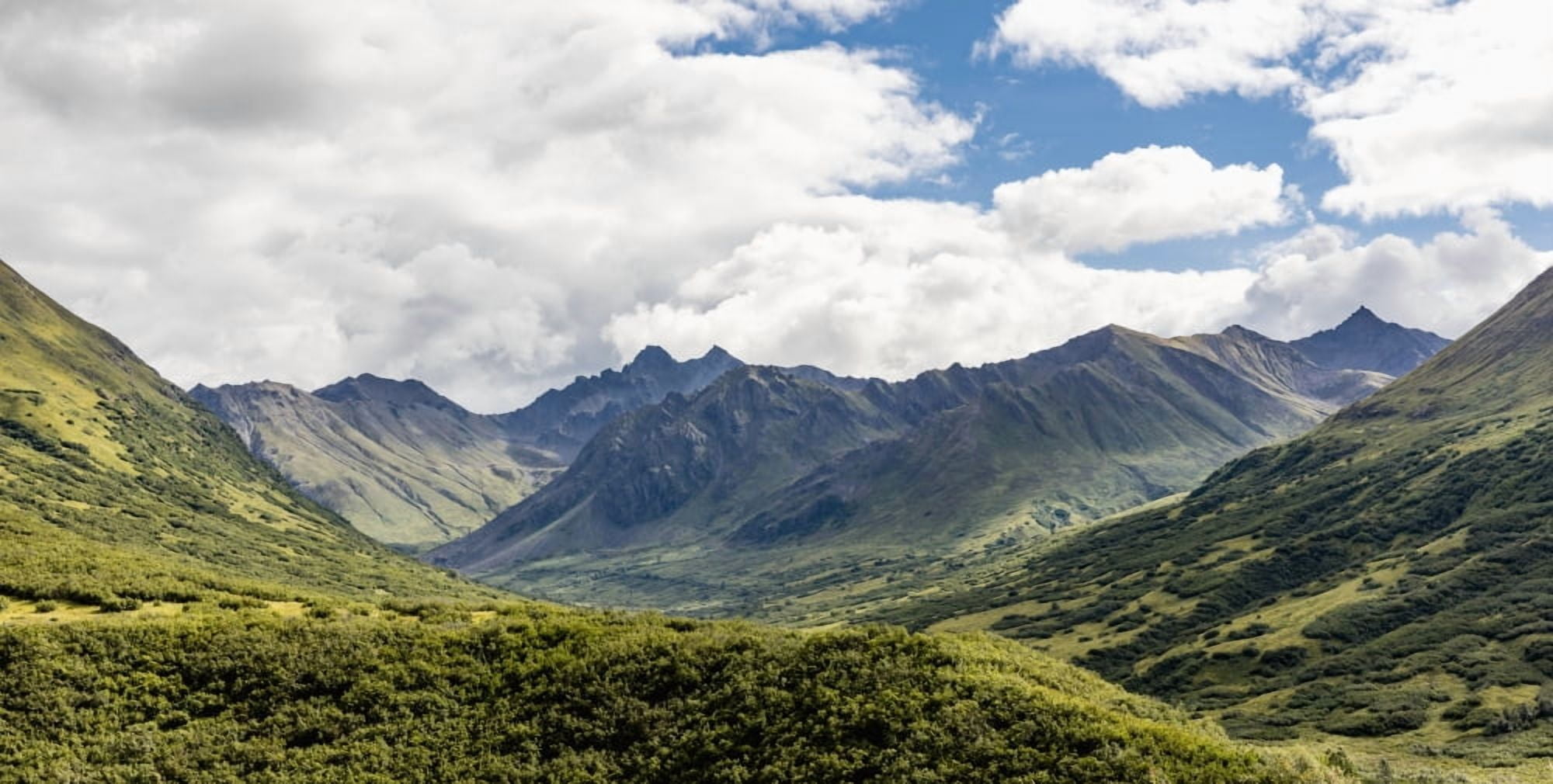 Scenic view of the Talkeetna Mounts and the Mint Glacier Valley at Hatcher Pass Southcentral Alaska Summer Canvas Art - Ray Bulson Design Pics (42 x 22)
