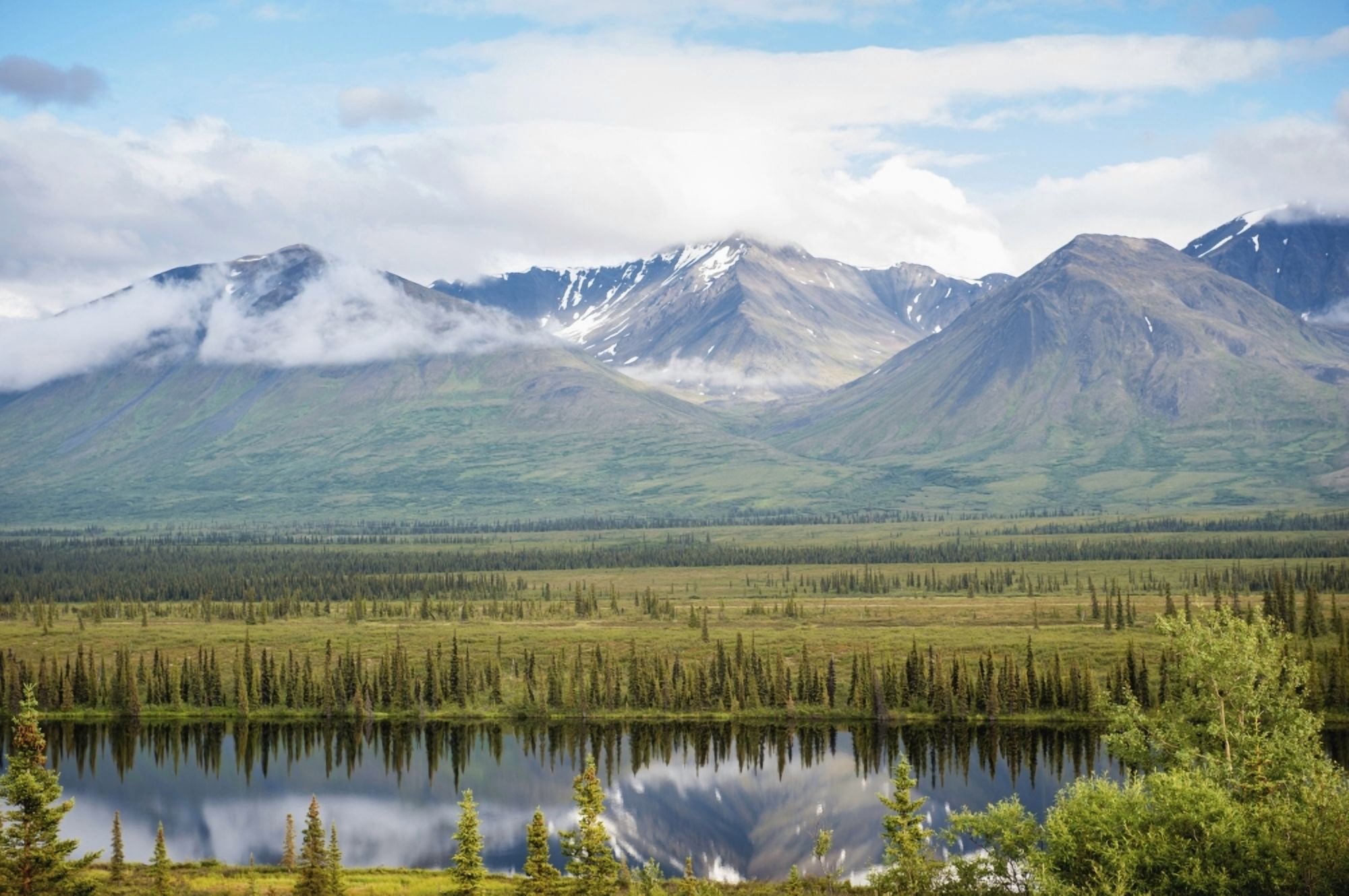 Scenic view inside Denali National Park and Preserve Interior Alaska Summer Canvas Art - Remsberg Inc Design Pics (19 x 12)