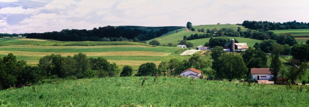 Scenic view of a farm Amish country Holmes County Ohio USA Canvas Art - Panoramic Images (27 x 9)