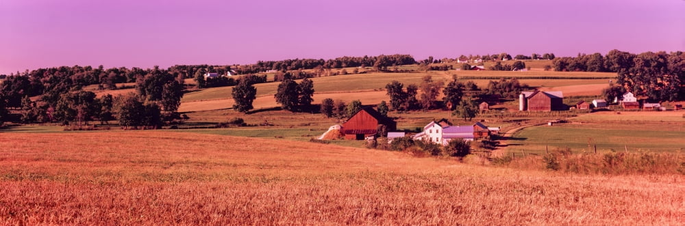 Scenic view of a farm Amish country Holmes County Ohio USA Canvas Art - Panoramic Images (36 x 12)