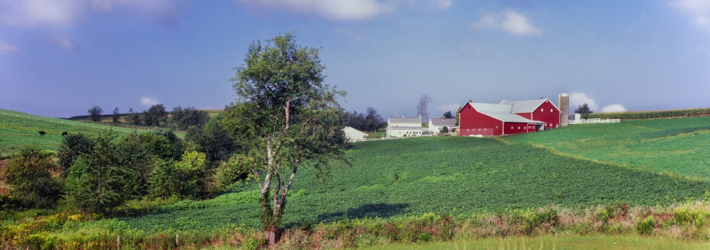 Scenic view of a farm Amish country Holmes County Ohio USA Canvas Art - Panoramic Images (36 x 12)