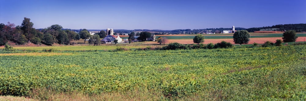 Scenic view of a farm Pennsylvania Dutch Country Lancaster County Pennsylvania USA Canvas Art - Panoramic Images (27 x 9)