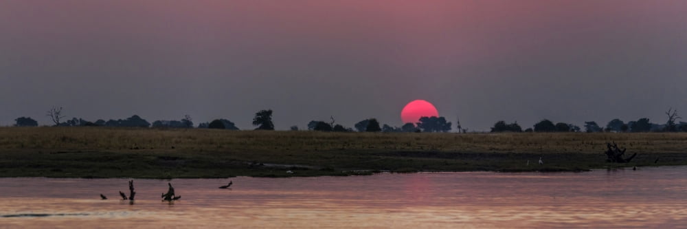 Scenic view of a river at dusk Chobe River Botswana Canvas Art - Panoramic Images (27 x 9)