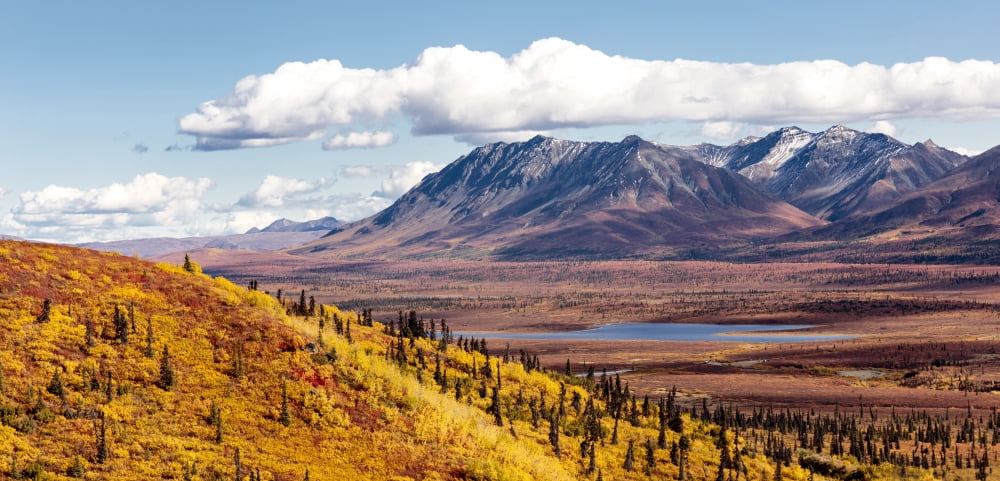 Scenic view of peak fall colors along Matanuska Valley Southcentral Alaska Canvas Art - Ray Bulson Design Pics (44 x 21)