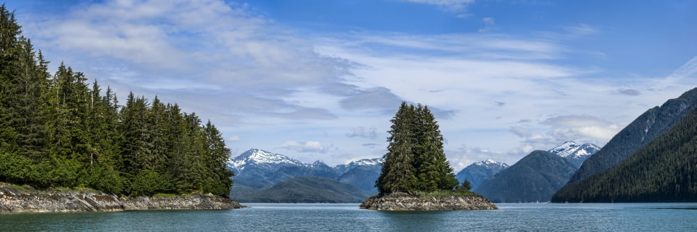 Scenic view of trees on Little Island Thomas Bay Southeast Alaska Alaska USA Canvas Art - Panoramic Images (27 x 9)