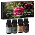 thumbnail image 1 of Scent Aura IV Fragrance Oil Set of 4 - Luxury Hotel & Designer Collection Diffuser oil Scents| Candle Making Supplies Holiday Gift Set | Diffuser Essential Oils, 1 of 5