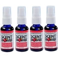 thumbnail image 1 of Scent Bomb Air Freshener Spray, 100 % Oil Based Concentrated Air Freshener, Air Freshener Spray for Car, Room, Bathroom and Odor Eliminator, Pomegranate, 4 Pack, 1 of 1