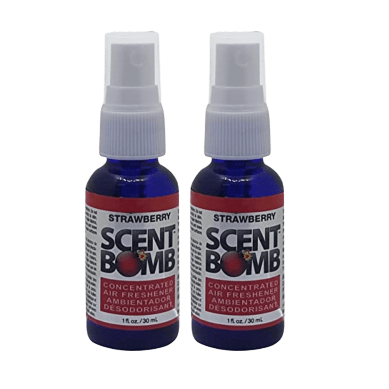 SMELLS BEGONE 15oz (2-Pack) Odor Absorber Gel