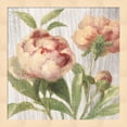 thumbnail image 1 of Scented Cottage Florals I Crop by Danhui Nai, Framed Wall Art, 13.25W x 13.25H, 1 of 1