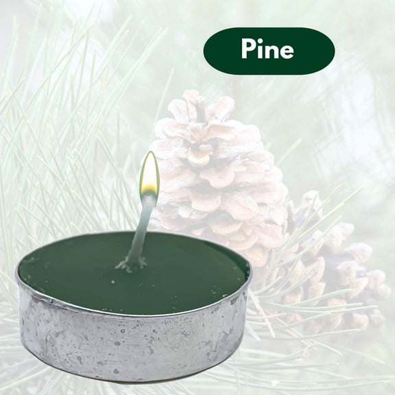 Scented Home Fragrance Tealight Candles: 4CT