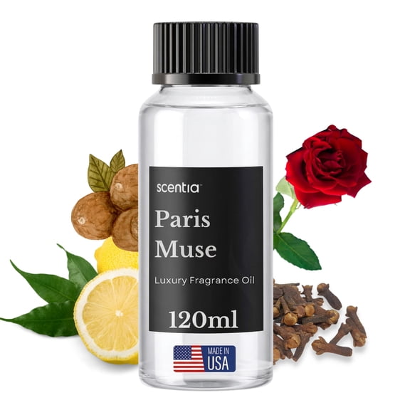 Scentia Fragrance Oil Inspired by The Hotel Costes - 120 mL 4.06 fl oz - Refill Diffuser Oil Blend Rose, Clove & Sandalwood Notes for Aromatherapy Diffusers - Paris