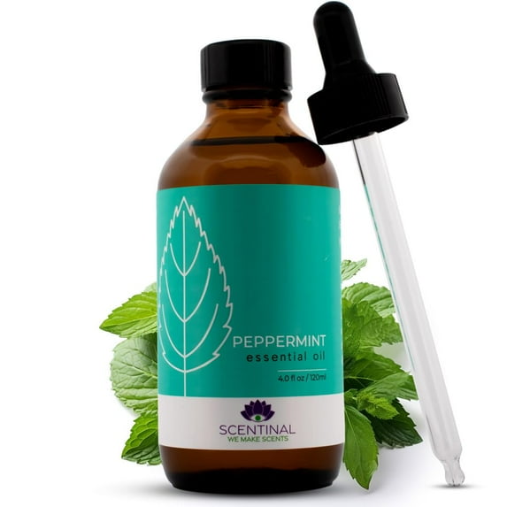 Scentinal Premium Essential Oil - 100% Pure, Natural & Authentic - Extra Large 4oz Bottle (120ml) with Eyedropper - Refreshing Aromatherapy Experience (Peppermint, 4 oz / 120ml)